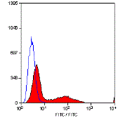 Anti-CD34 antibody [MEC14.7] (PE) used in Flow cytometry (FCM). GTX75414