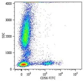 Anti-NCAM antibody [MEM-188] (FITC) used in Flow cytometry (FCM). GTX75715