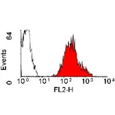 Anti-HLA-A2 antibody [BB7.2] (PE) used in Flow cytometry (FCM). GTX75805