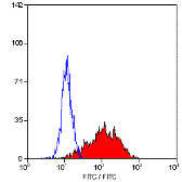 Anti-IL2 Receptor alpha antibody [MRC OX-39] (FITC) used in Flow cytometry (FCM). GTX76047
