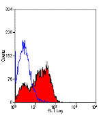 Anti-CD45RA antibody [OX-33] (FITC) used in Flow cytometry (FCM). GTX76085