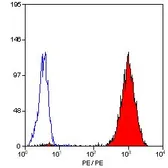 Anti-CD41 antibody [PM6/248] (PE) used in Flow cytometry (FCM). GTX76179