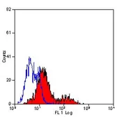 Anti-CD35 antibody [E11] used in Flow cytometry (FCM). GTX76302