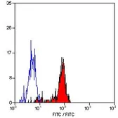 Anti-CD64 antibody [10.1] used in Flow cytometry (FCM). GTX76484