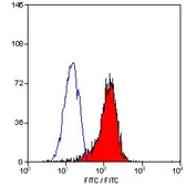 Anti-ICAM1 / CD54 antibody [1A29] (FITC) used in Flow cytometry (FCM). GTX76499
