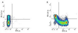 Anti-CD45RA antibody [F8-11-13] (FITC) used in Flow cytometry (FCM). GTX76597