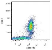 Anti-CD55 antibody [MEM-118] (FITC) used in Flow cytometry (FCM). GTX78307