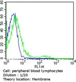 Anti-TCR V alpha 12.1 antibody [6D6.6] (FITC) used in Flow cytometry (FCM). GTX79219
