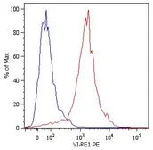 Anti-Vimentin antibody [VI-RE/1] (PE) used in Flow cytometry (FCM). GTX79851