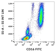 Anti-CD16 antibody [MEM-154] (FITC) used in Flow cytometry (FCM). GTX79997
