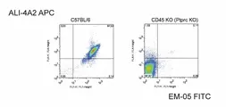 Anti-CD45 antibody [EM-05] used in Flow cytometry (FCM). GTX80168