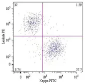 Mouse Anti-Human kappa light chain antibody [A8B5] (FITC). GTX80244