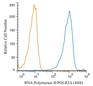 Anti-RPB1 antibody [4H8] used in Flow cytometry (FCM). GTX80341