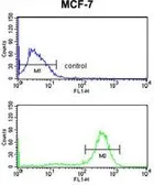 Anti-CHSY2 antibody, Internal used in Flow cytometry (FCM). GTX80597