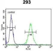 Anti-DZIP1 antibody, Internal used in Flow cytometry (FCM). GTX80938