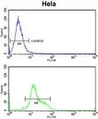Anti-DTX4 antibody, N-term used in Flow cytometry (FCM). GTX80971