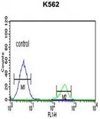Anti-KIR3DS1 antibody, C-term used in Flow cytometry (FCM). GTX81103