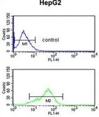 Anti-BANK1 antibody, Internal used in Flow cytometry (FCM). GTX81106