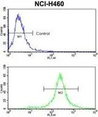 Anti-c-Kit antibody, N-term used in Flow cytometry (FCM). GTX81335