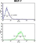 Anti-RBM3 antibody, C-term used in Flow cytometry (FCM). GTX81473