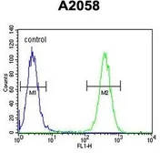 Anti-FKBP10 antibody, C-term used in Flow cytometry (FCM). GTX81486