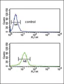 Anti-COL5A2 antibody, N-term used in Flow cytometry (FCM). GTX81507