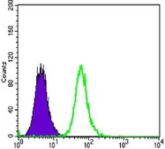Anti-DKK3 antibody [4G7] used in Flow cytometry (FCM). GTX83357