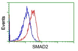 Anti-SMAD2 antibody [2C10] used in Flow cytometry (FCM). GTX83612