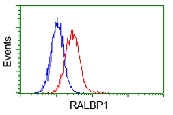 Anti-RALBP1 antibody [6C6] used in Flow cytometry (FCM). GTX83726