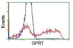 Anti-QPRT antibody [4B4] used in Flow cytometry (FCM). GTX83744