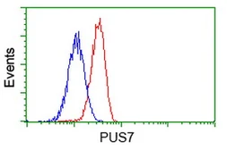 Anti-PUS7 antibody [4H5] used in Flow cytometry (FCM). GTX83756