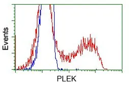Anti-Pleckstrin antibody [4F10] used in Flow cytometry (FCM). GTX83873