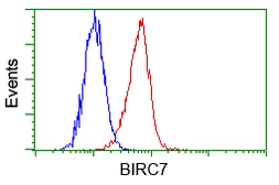 Anti-Livin antibody [1D12] used in Flow cytometry (FCM). GTX84823