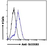 Anti-OATP8 antibody, Internal used in Flow cytometry (FCM). GTX88295